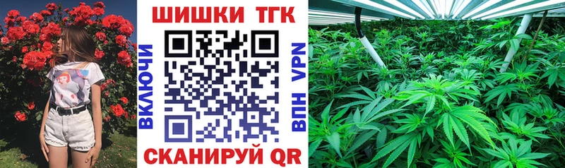 Лсд 25 Новоржев