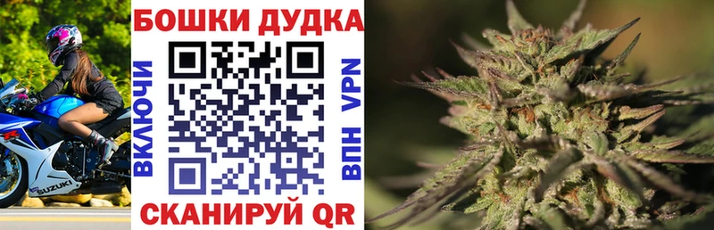 МАРИХУАНА семена  даркнет сайт  Новоржев 